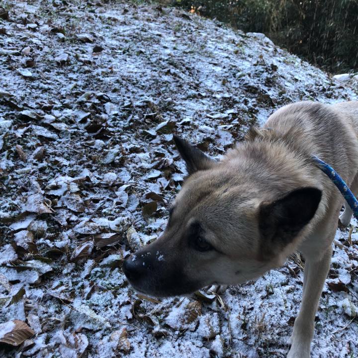 25a05889 181e 49b8 a717 5d66a215fd8f 1610091077319