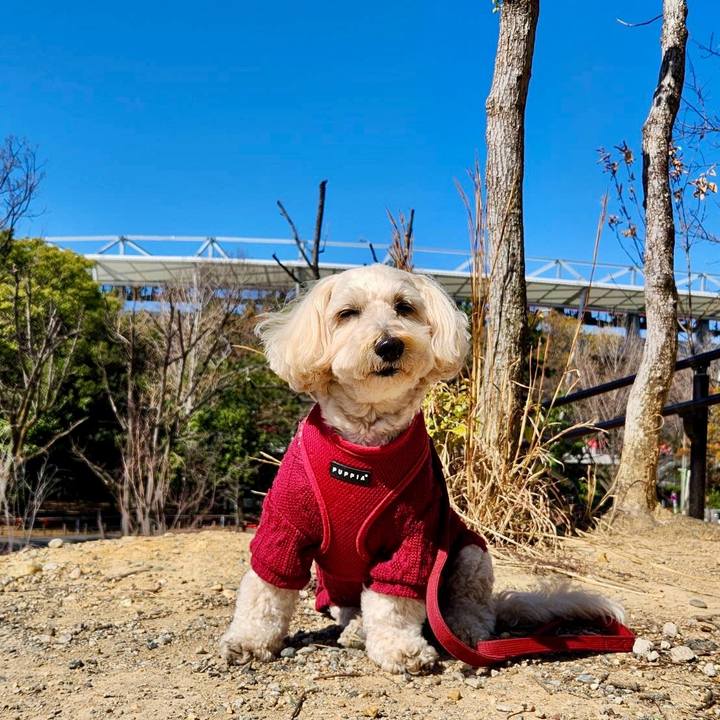 25a0de79 4a89 413a a497 8c56654815a9 1773291665723