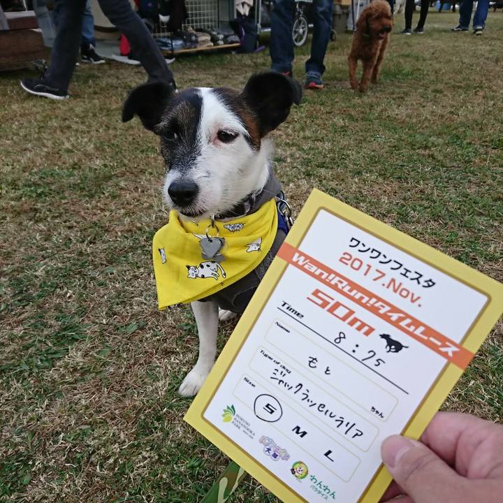 25a108f0 b378 4e7f 9228 826935a3af48 1510379268038