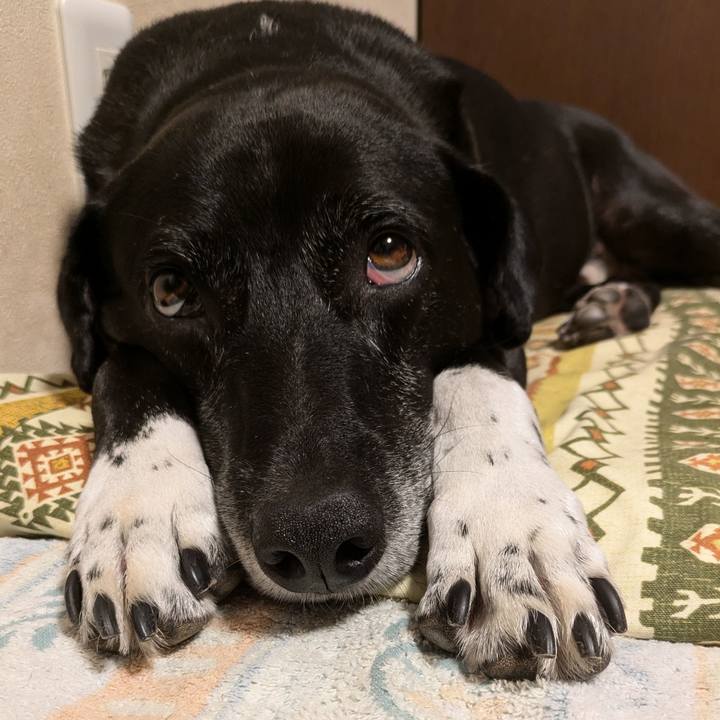 25a14fa0 20bb 4957 b6b3 33d9e4659b0d 1727520742359