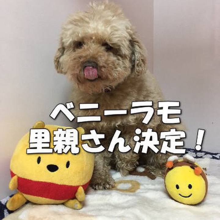 25a1531f cc52 43c9 b170 fe990bf59f68 1519305038832