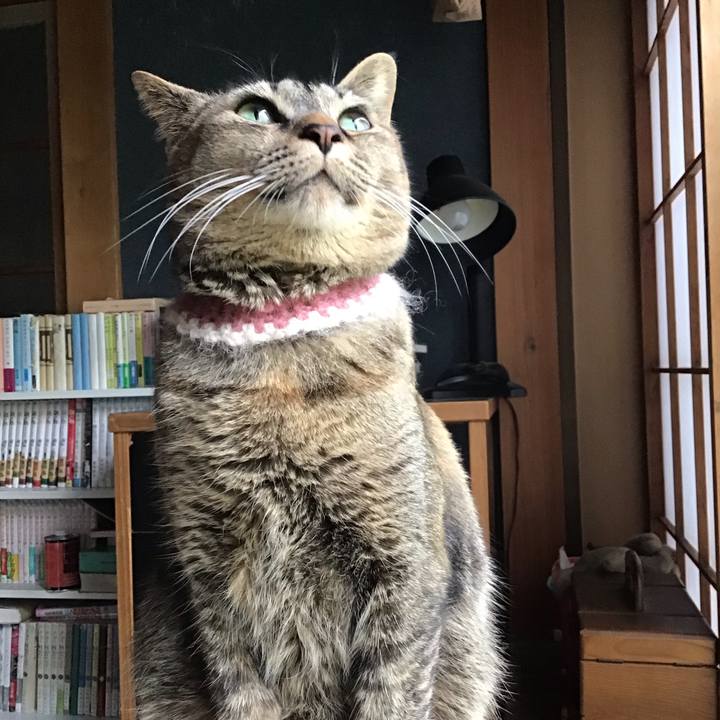 25a176d4 6524 4d51 b8db 12f84cb9f2ff 1653038244792