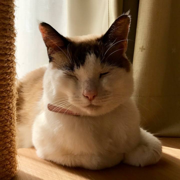 25a178c2 9fea 41a2 a818 a809d5a143f7 1542279771066