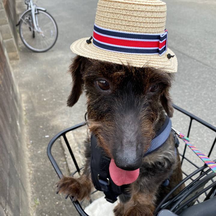 25a1811b 692c 4cb2 bb32 8342dd0bfffc 1595484879410