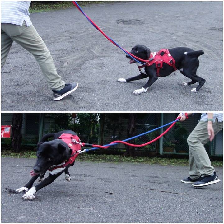 25a18ebf 3f3b 4102 9eee 02bad27a4267 1595067357227