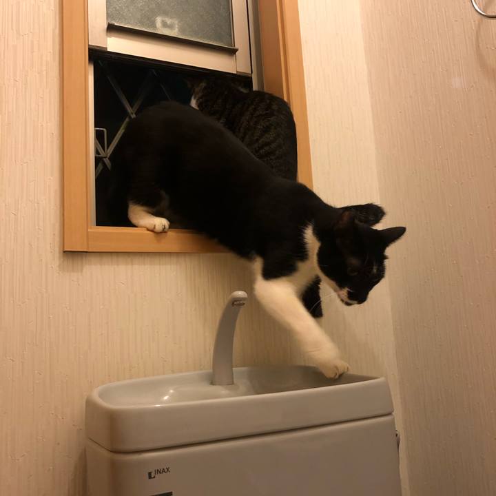 25a1c58a 266e 4c52 94f4 288b6da3f185 1598474433977