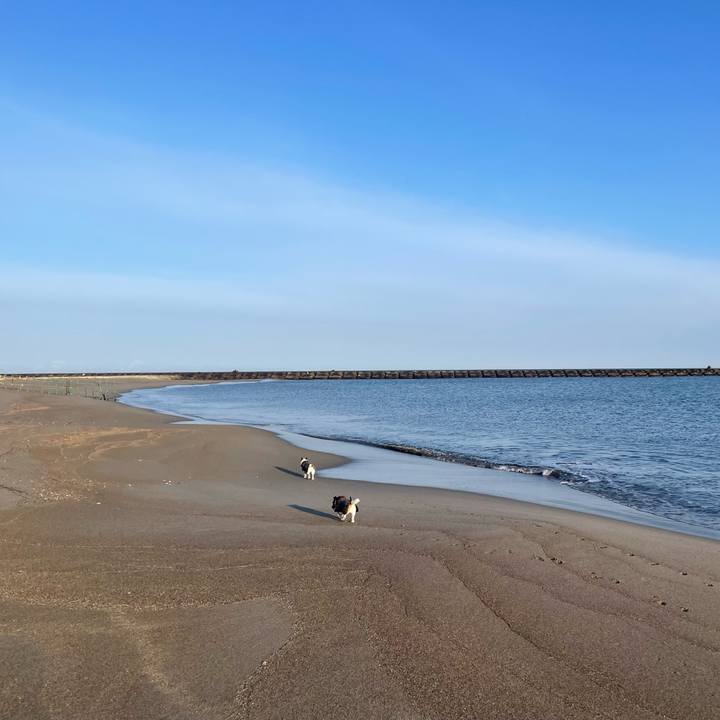 25a24b60 5301 4761 8fe4 a270f949e58f 1771631461173