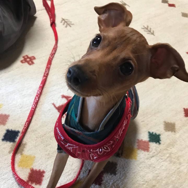 25a25796 0d44 4e2f 80c8 2f056b7fdd0b 1673321501962