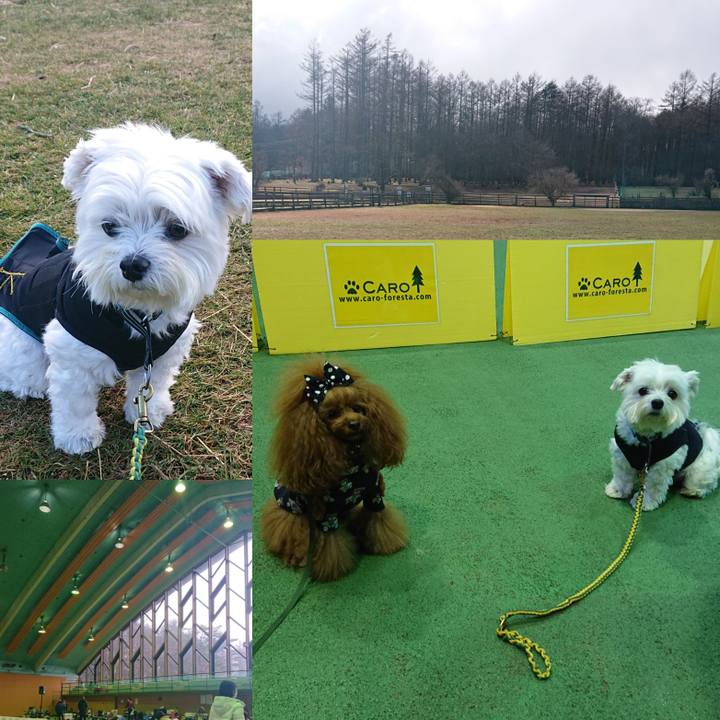 25a2714c 8729 4bde 89ea c2fb8f4eb0ee 1607173814937