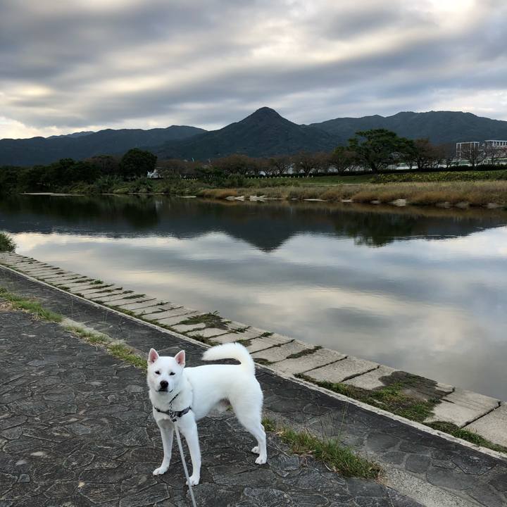 25a2a419 ffe6 4880 a508 a08bbb912cb9 1603493015427