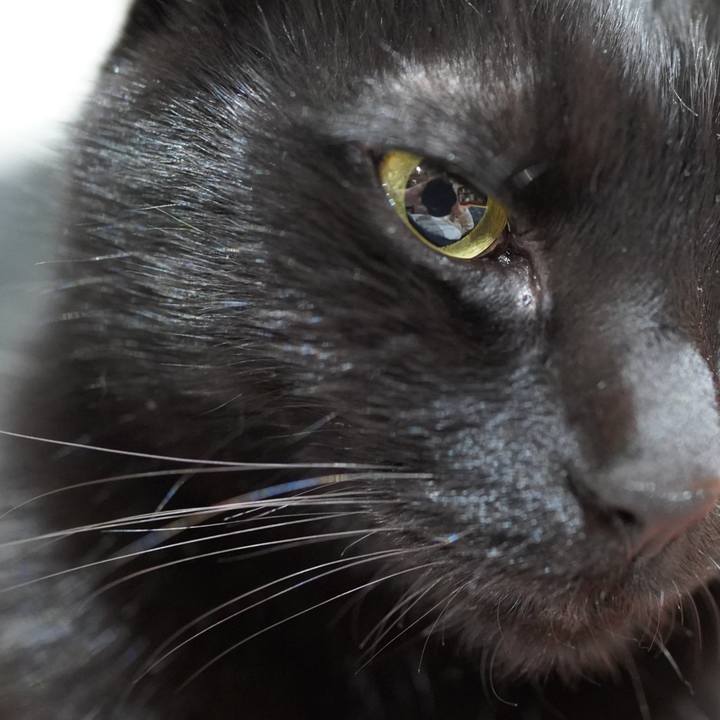 25a2bac0 a01d 42f6 877f e624ecff93fe 1584153996586