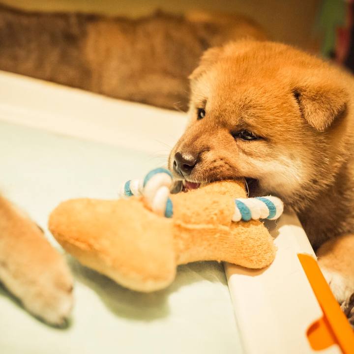 25a2ccec c95c 451d 8a45 82c1c5116824 1526337478145