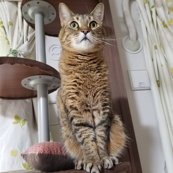 25a2e919 1300 4fe6 9c04 212699f63236 1617313256713