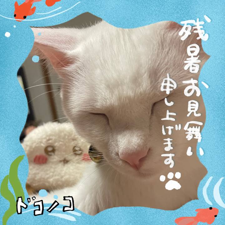 25a2f8eb 0ed3 435e 9b90 36d668c5a1ea 1723520603093