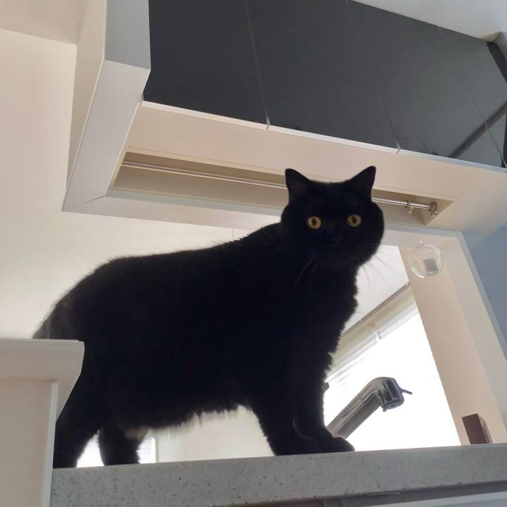 25a33158 1b02 45f6 af8a af438d8a0fee 1728546490527