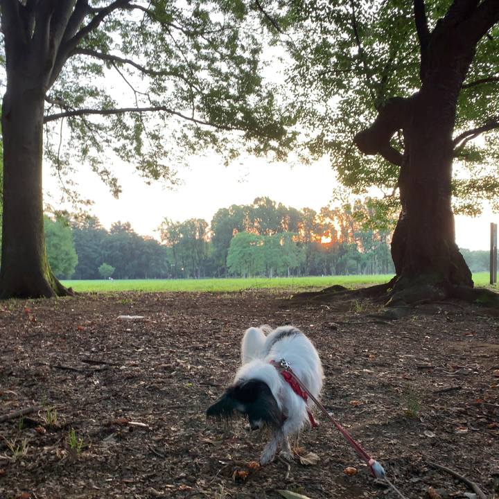 25a3358a bab8 41f7 9138 142142bb9f50 1565304939137