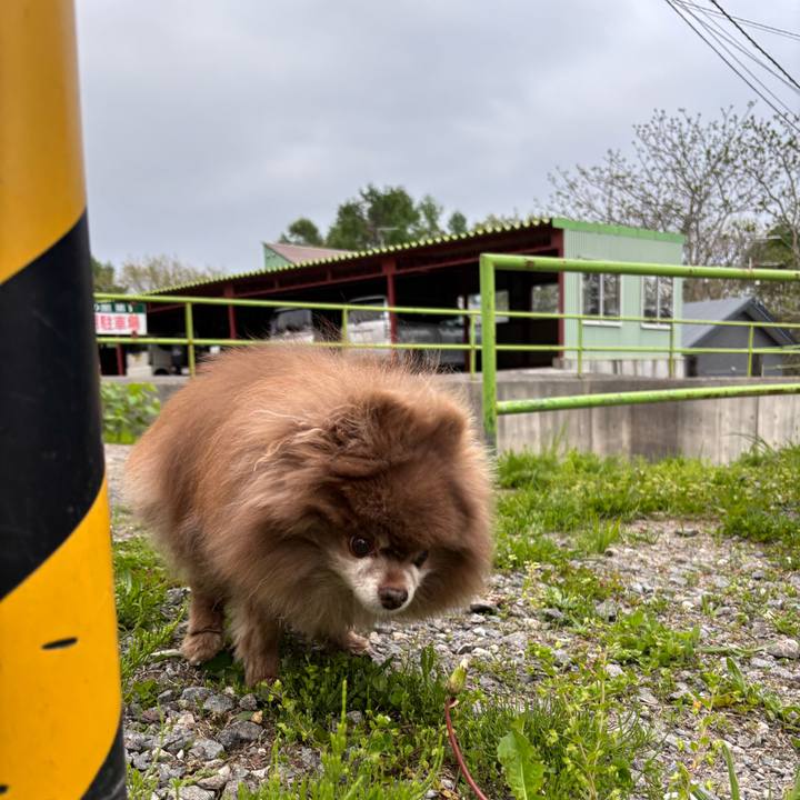 25a37201 bc2b 4187 a125 2f2575f61cad 1747346467645