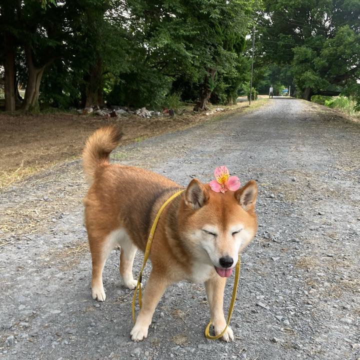 25a38bdc ea58 4824 a0ba 2f399fd897c2 1654920471868