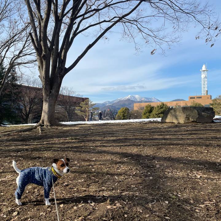 25a39250 b87e 407d 803a d94f40ab4334 1644663941205