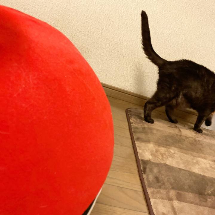 25a3aef4 642e 40e2 999d 2e4c2c63e78c 1591720532419