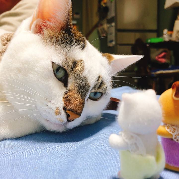 25a3bcda d6d4 401c ae89 62f0a2fb5b37 1578040219823