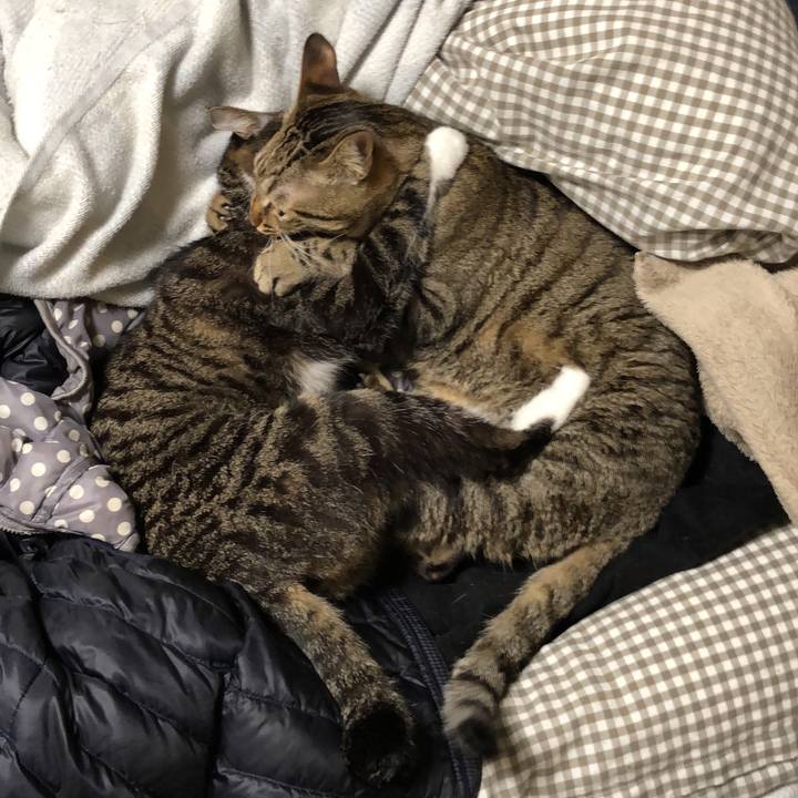 25a3c1dd 93c3 4cf7 88e4 b6817e8d5d25 1520392111181