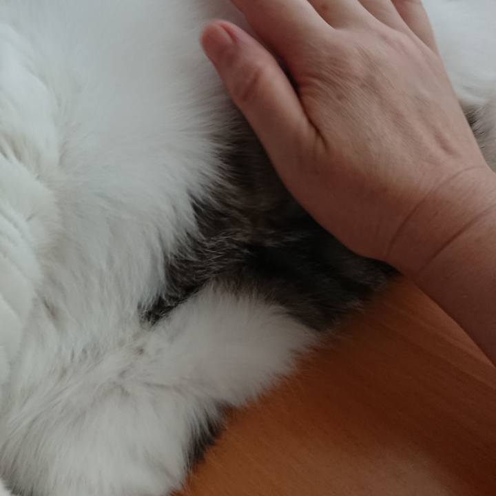 25a3d8b5 597d 4601 9e38 7cc9501cafed 1535587555133