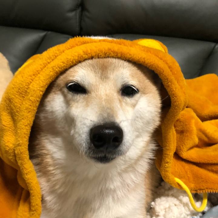 25a3e07e 1894 49b6 b697 1570428c5cb4 1576473648331