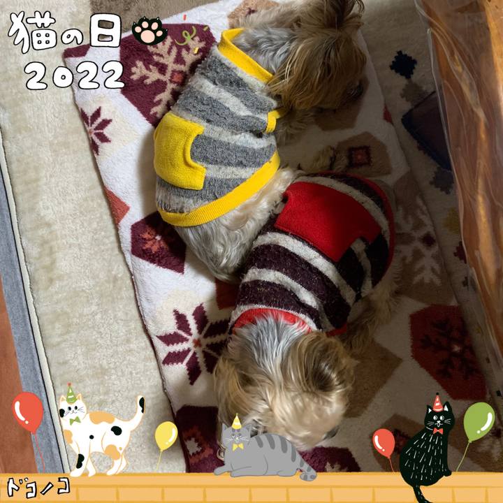 25a3e88d 15c2 46cd 8e89 ade89026429f 1645525522075