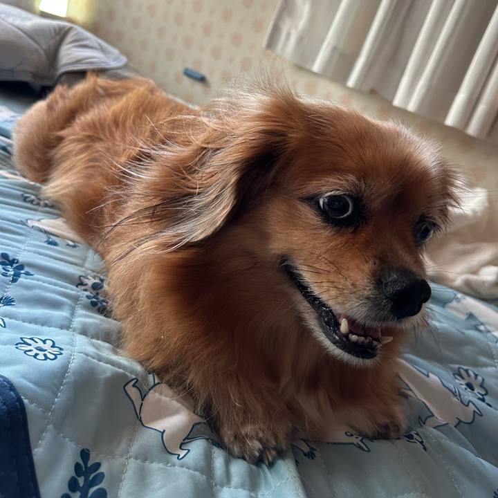 25a3fae4 6122 4347 a2a1 3a07965b015e 1756587423562