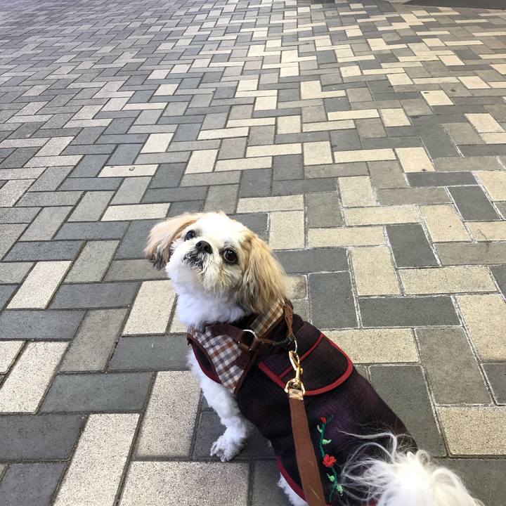 25a42f6f 855f 4569 99ef dea317215028 1552426996639