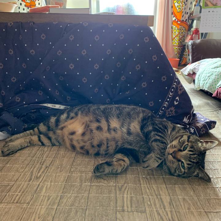 25a450f1 c03a 45f2 8dee c73a2ddbb3d7 1586079488315