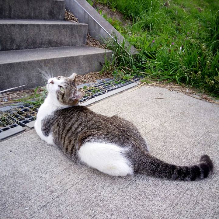 25a46f68 9b9a 43ab 8130 6ae0b3454bbc 1522667876720