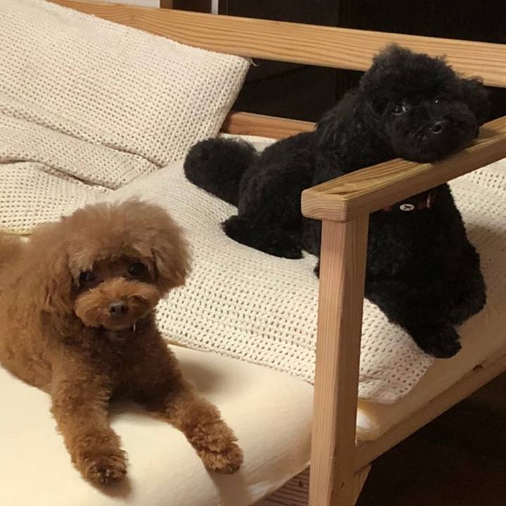 25a47df7 fd79 4e18 818a c4f3c0bd6eed 1600581343263