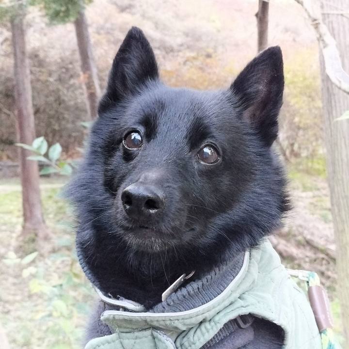 25a4c682 1411 452c b7d1 09596a41980e 1763768107937