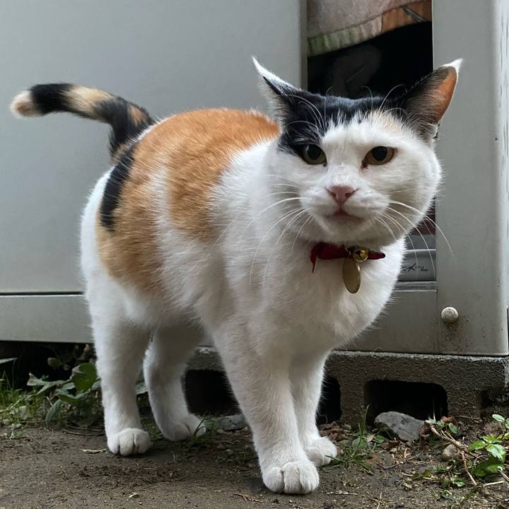 25a50cf7 ef42 4082 85f3 910e97ea2670 1640731229059