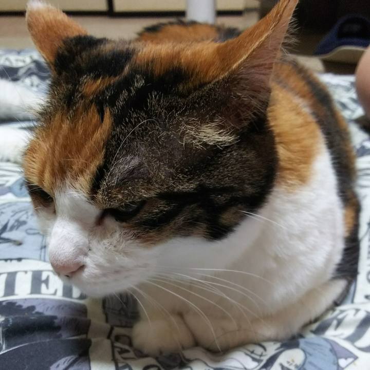 25a5388a a51e 4b91 9a04 ef1adbc2a483 1531661173504