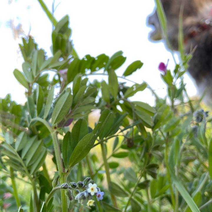 25a55a7c dcfc 4fdf aff4 ac80ed0de7fa 1587804752667