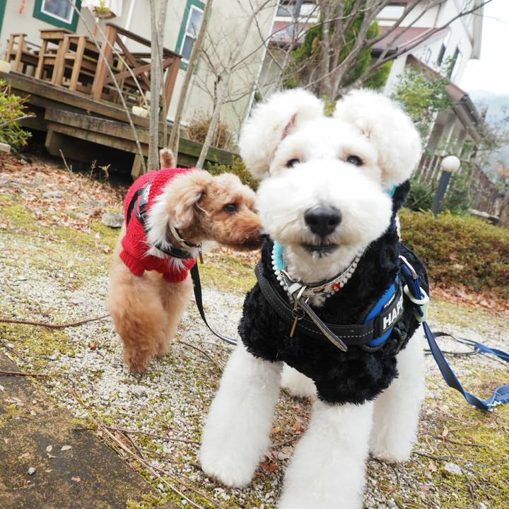 25a577b7 4b9a 4d9d 9798 0c2f84617d13 1514130298578