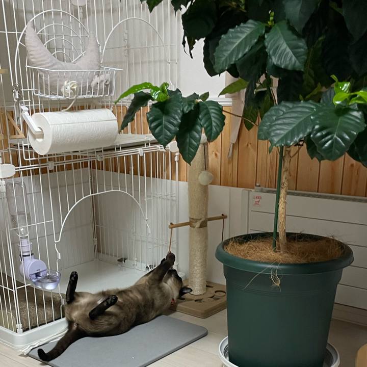 25a57ca3 b637 41f6 ac38 570bdd406ff5 1772398031849