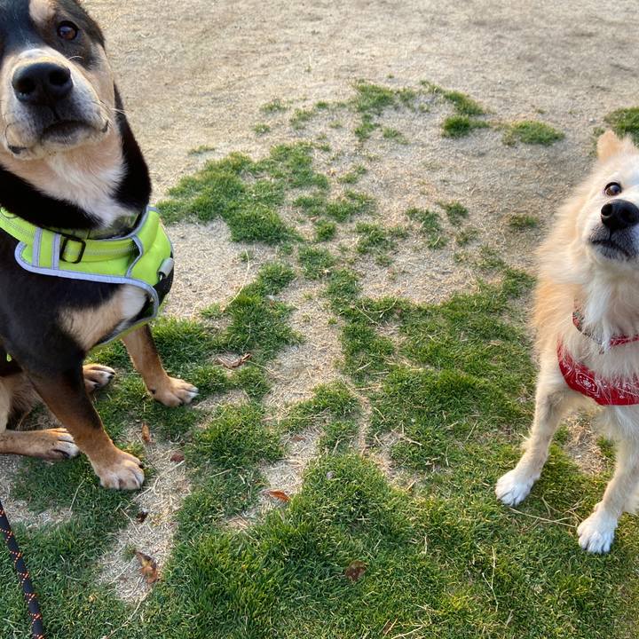 25a59d66 d048 4e51 bcc9 63995416e61c 1647045271467