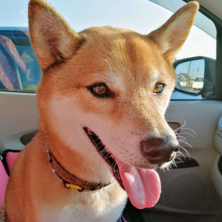 25a5aaa2 f2ec 4a8a 89c8 3d3b8d974a4e 1630052889771