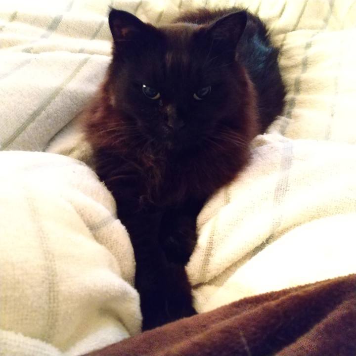 25a5cfa3 caa4 4872 b490 1ff3a679a071 1614210569160