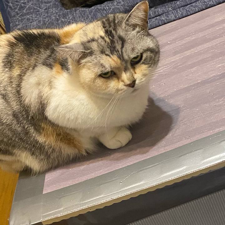 25a5e221 83fd 49c3 aced e3da06b9eaac 1652804048642