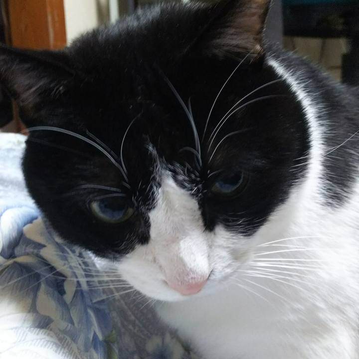 25a64e9c b827 40c1 be8a 863268f50879 1544478482711