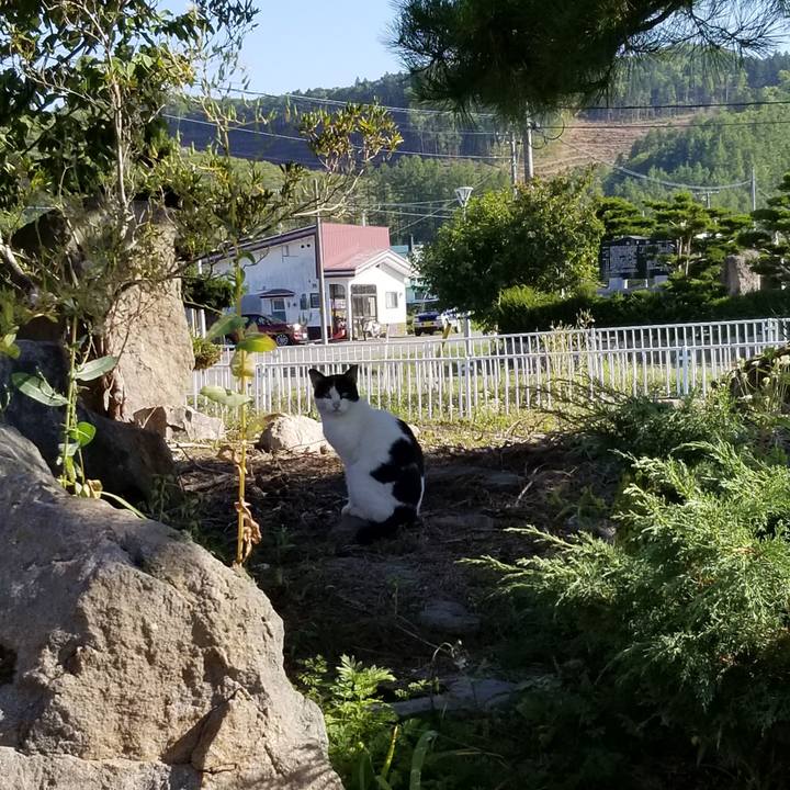 25a66316 001f 4f0e 91bf 3a83ec1cb9bc 1632264845454