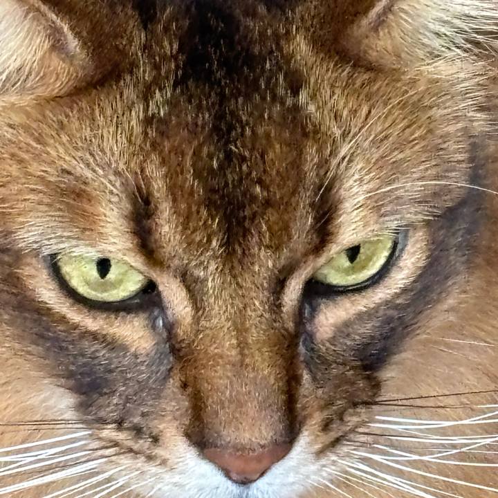 25a66c33 d8d0 457f 8d4b 17bd325a149c 1762556723054