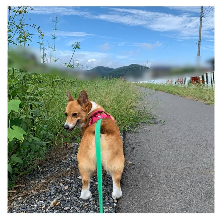 25a67821 03b5 4d9f 850e 2a154651fb0e 1631165489537