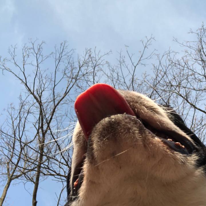 25a68f5d 3684 4d6c 9484 22d618627a5a 1522116722967