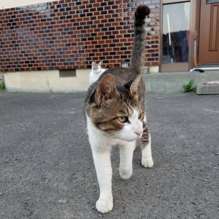 25a6a2e7 3a2d 4c81 9fba eb8bd321e9d5 1596285570027